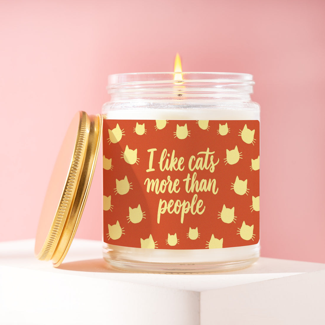 I Like Cats More Than People Candle, Funny Cat Mom Gift for Her, Terracotta Script Birthday Present, Introvert Humor R157