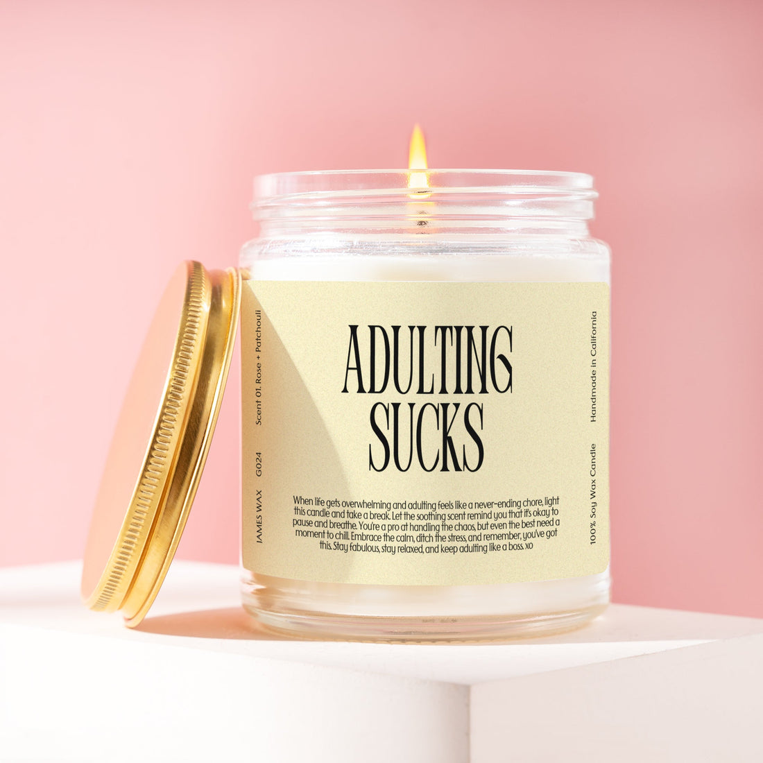 18th Birthday Adulting Sucks Candle Eighteenth Birthday Candle G024