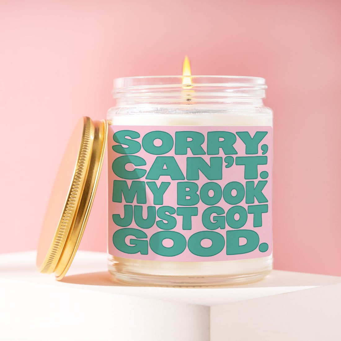 Sorry Can't My Book Just Got Good Candle, Reader Gift for Her, Pink Birthday Present, Bookish Introvert Bestie Idea R189