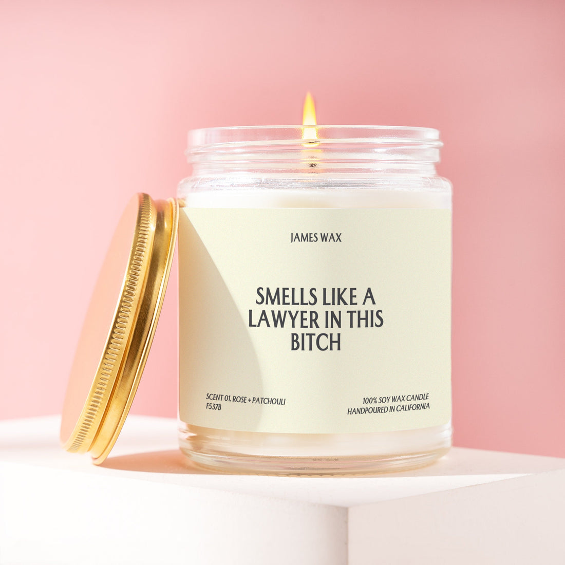Lawyer Gift Smells Like a Lawyer in this Bitch Legal Professional Gift Attorney Candle F537B