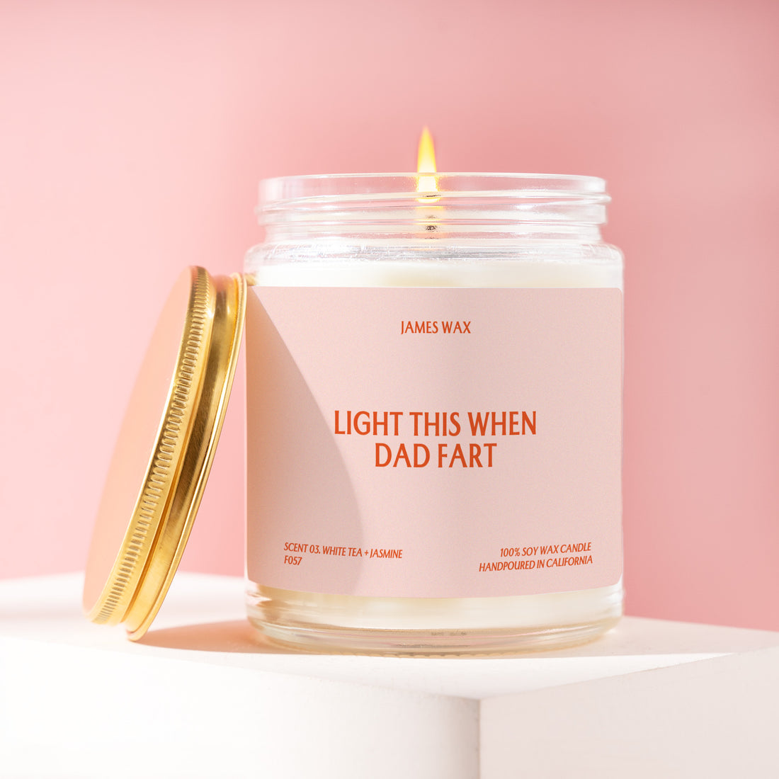 Father's Day Gift Light This Candle Gag Gift for Dad Funny Unique Handmade Daughter Son Wife Bonus Dad Husband F057
