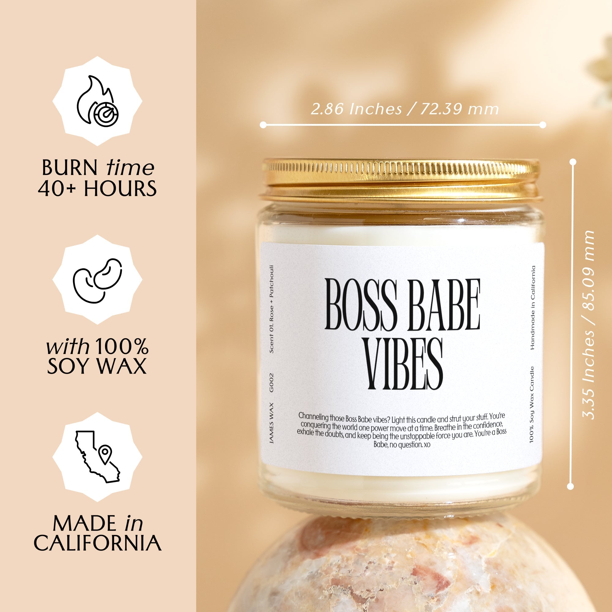 XN Career Gift Funny Candle For Boss Babes Boss Babe Vibes Candle Gift For Coworker Colleague Office Gift For Her  G002