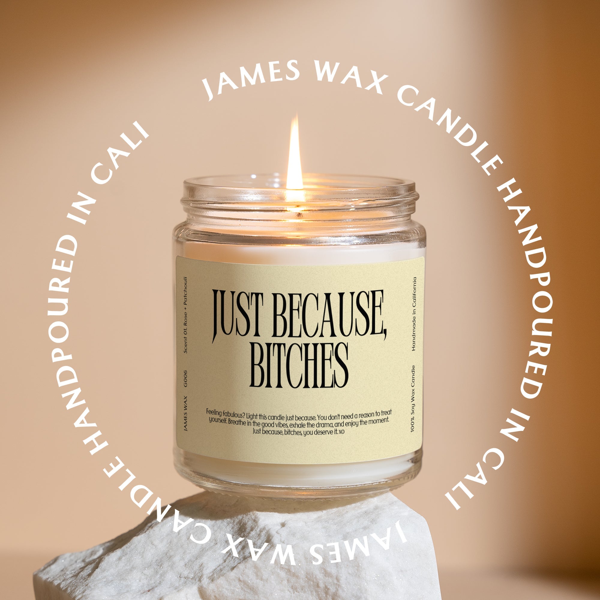 XN Just Because Gift Funny Candle For Any Occasion Just Because Bitches Candle Gift For Her G006