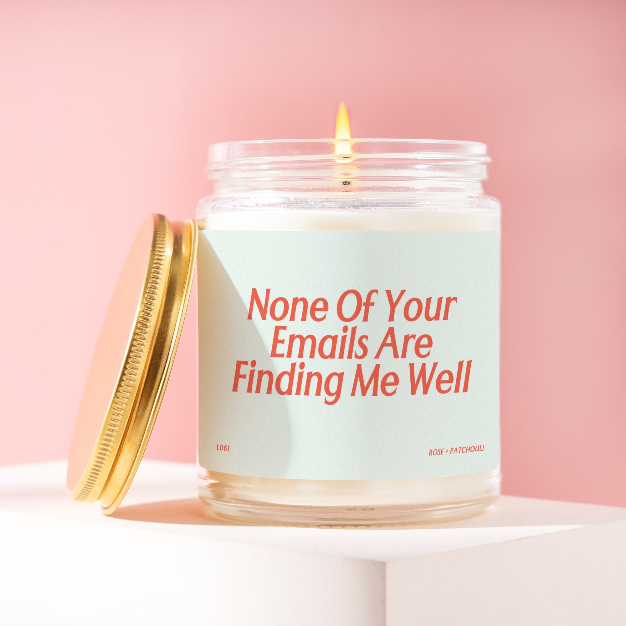 XN Funny Office Candle Coworker Gift Sarcastic Work Candle HR Gift Work Boss Present None Of Your Emails Are Finding Me Well L061