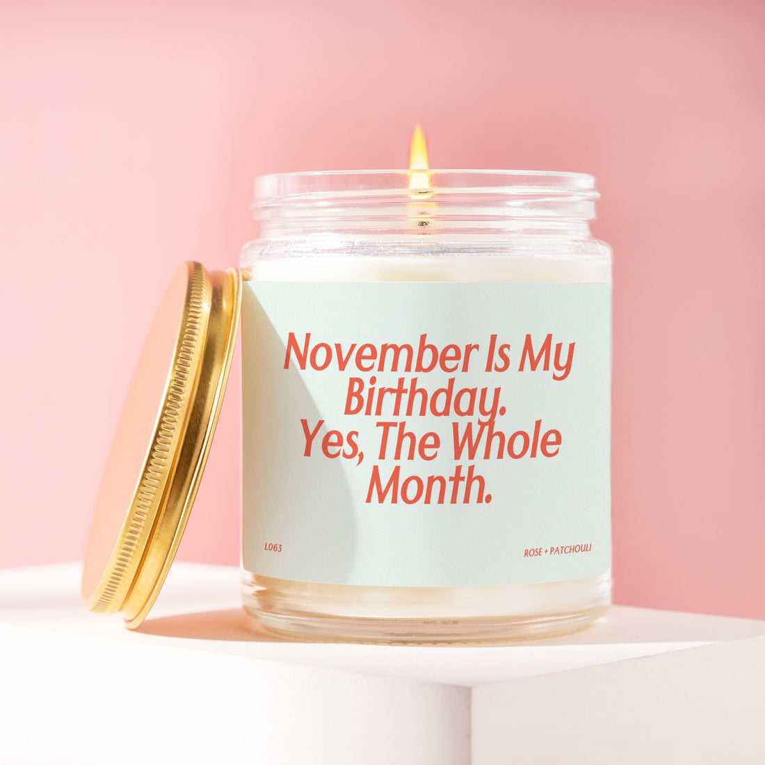 November Birthday Candle Gift for Best Friend Birthday Party Gift Funny Candle Gift for 21st Birthday 30th Birthday Gift for Sister L063