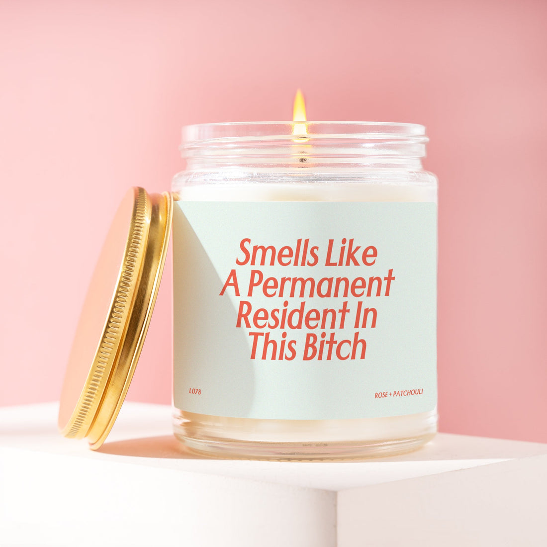 Permanent Resident Gift Citizenship Gift Funny Candle Green Card Citizenship test New Citizen Gift Immigration Gift Unique Gift L078