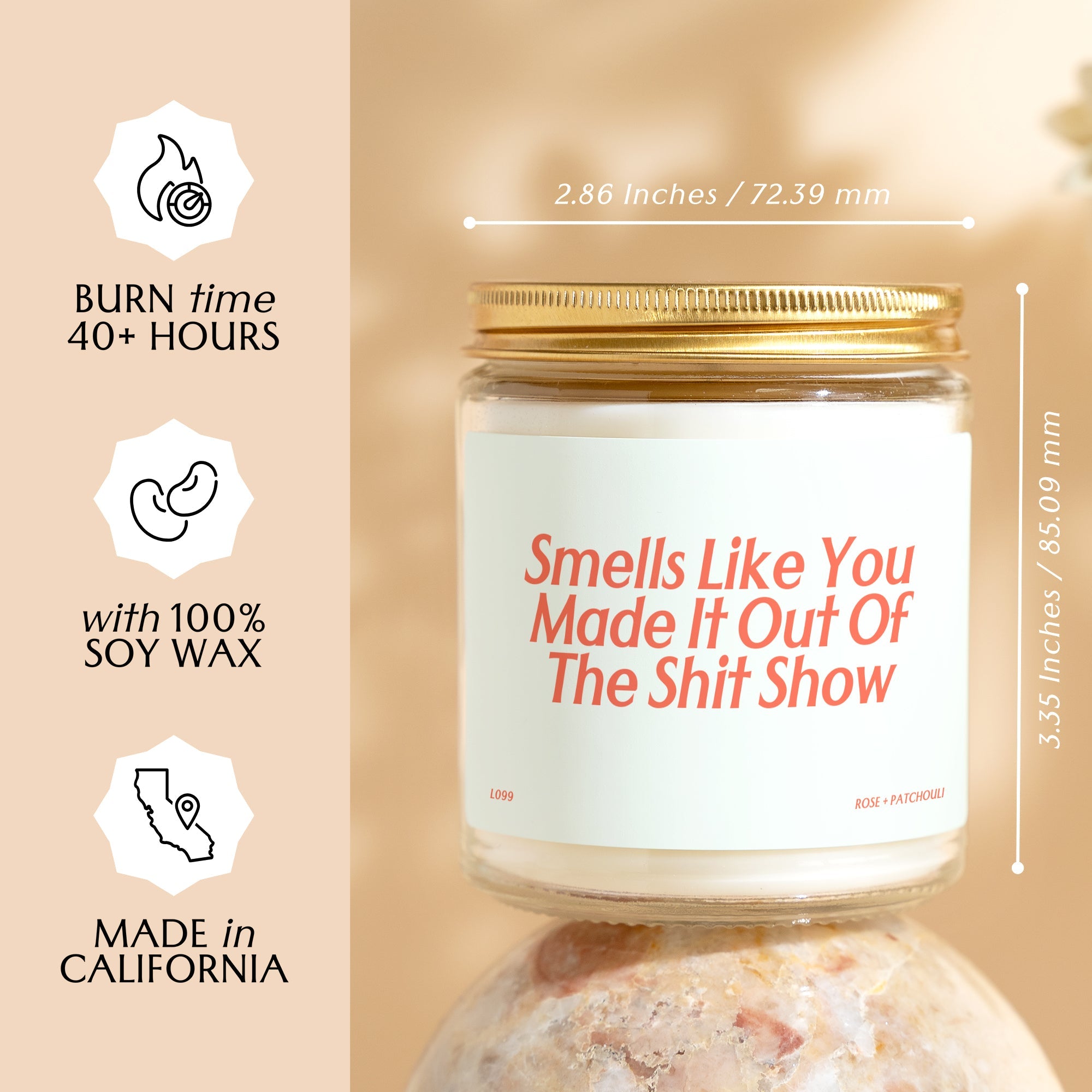 XN Smells Like You Made it out of The Show Retirement Gift Funny Candle Going Away Gift Coworker Gift Gift for Her New Job Gift L099