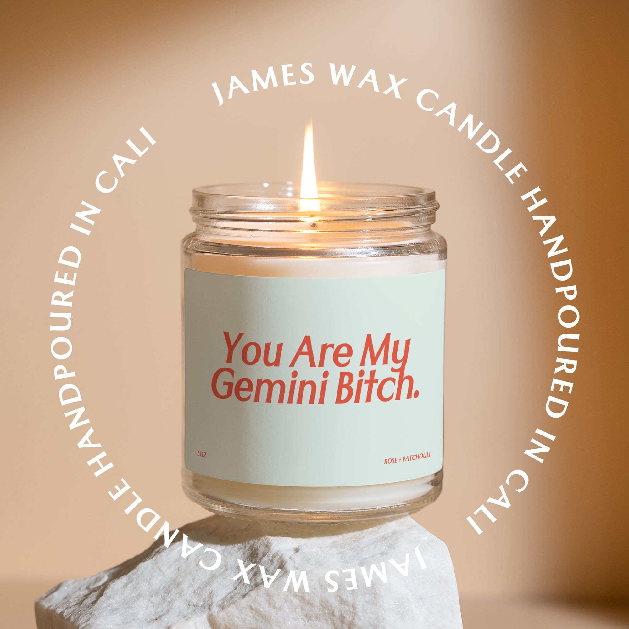 XN Gemini Bitch Birthday Candle Funny Gemini Birthday Gift Gemini Star Sign Gemini Astrology Gift 21st Birthday 30th Birthday L112