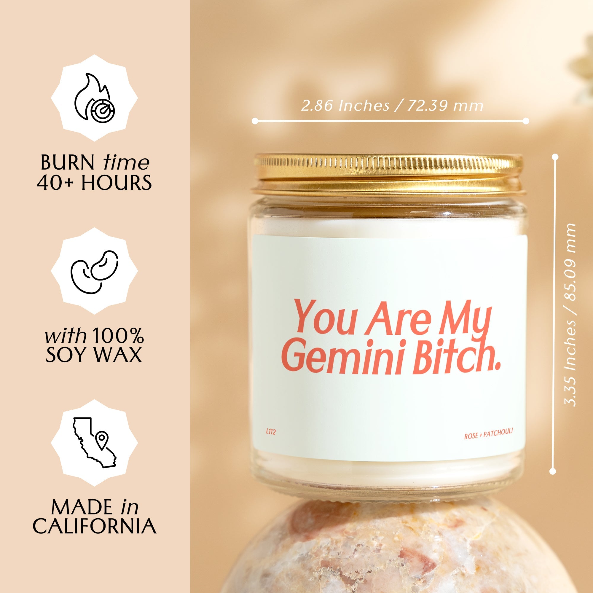 XN Gemini Bitch Birthday Candle Funny Gemini Birthday Gift Gemini Star Sign Gemini Astrology Gift 21st Birthday 30th Birthday L112