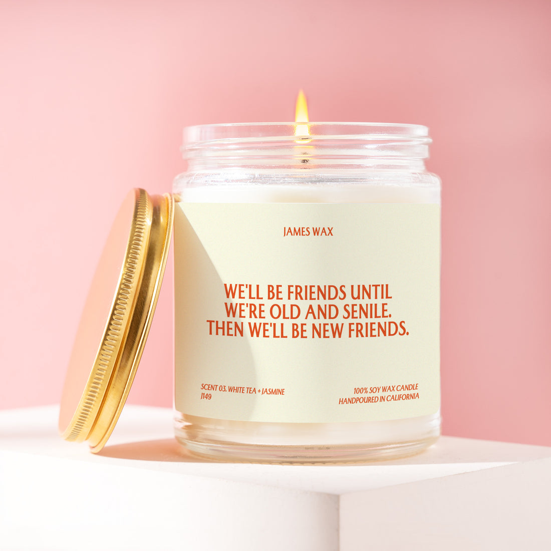 Best Friend Gift Funny Candle Friends Until Old and Senile Friendship Gift BFF Candle Funny Christmas Gift for Bestie J149