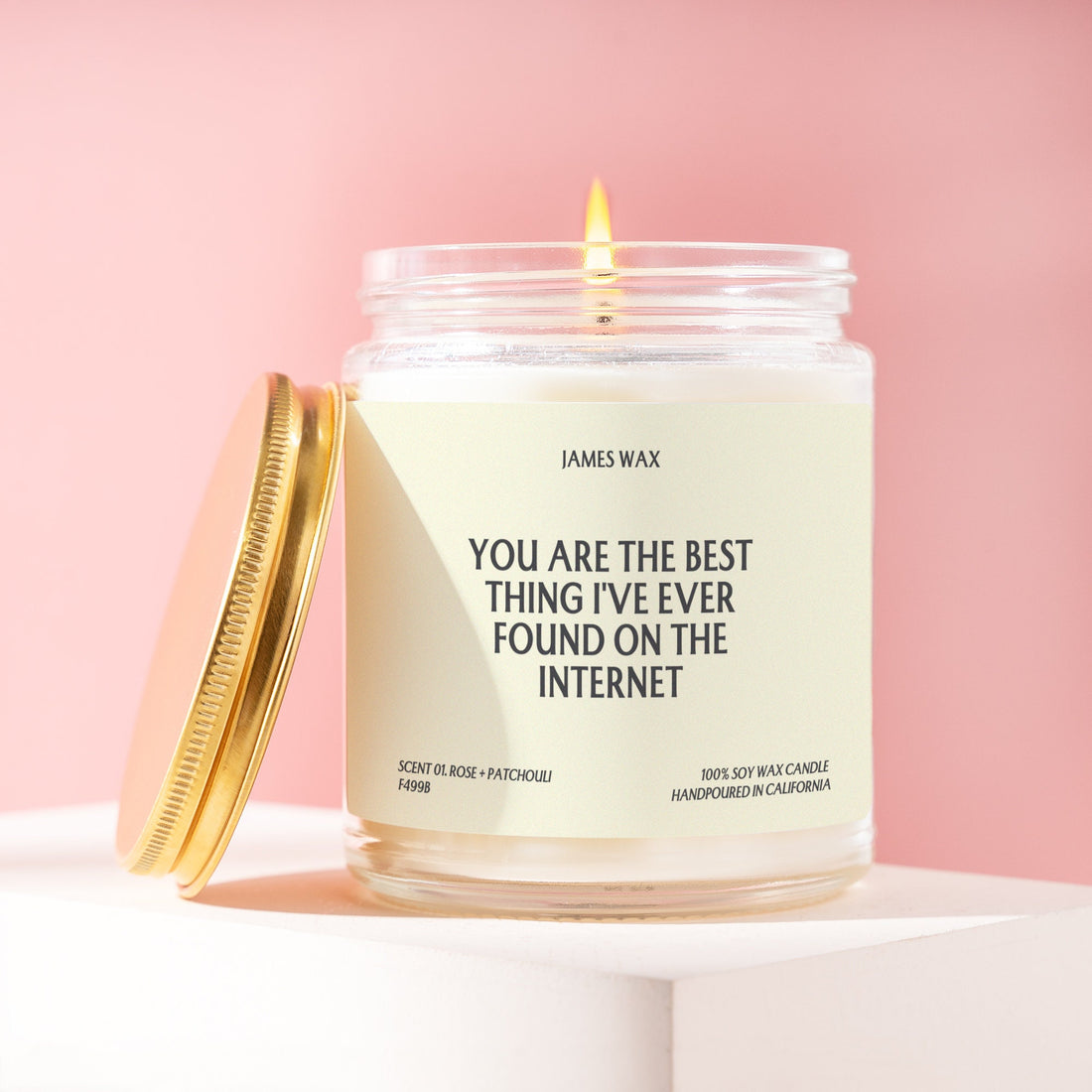 Best Internet Find Gift You Are The Best Thing I've Ever Found On The Internet Candle For Online Friends Digital Age F499B