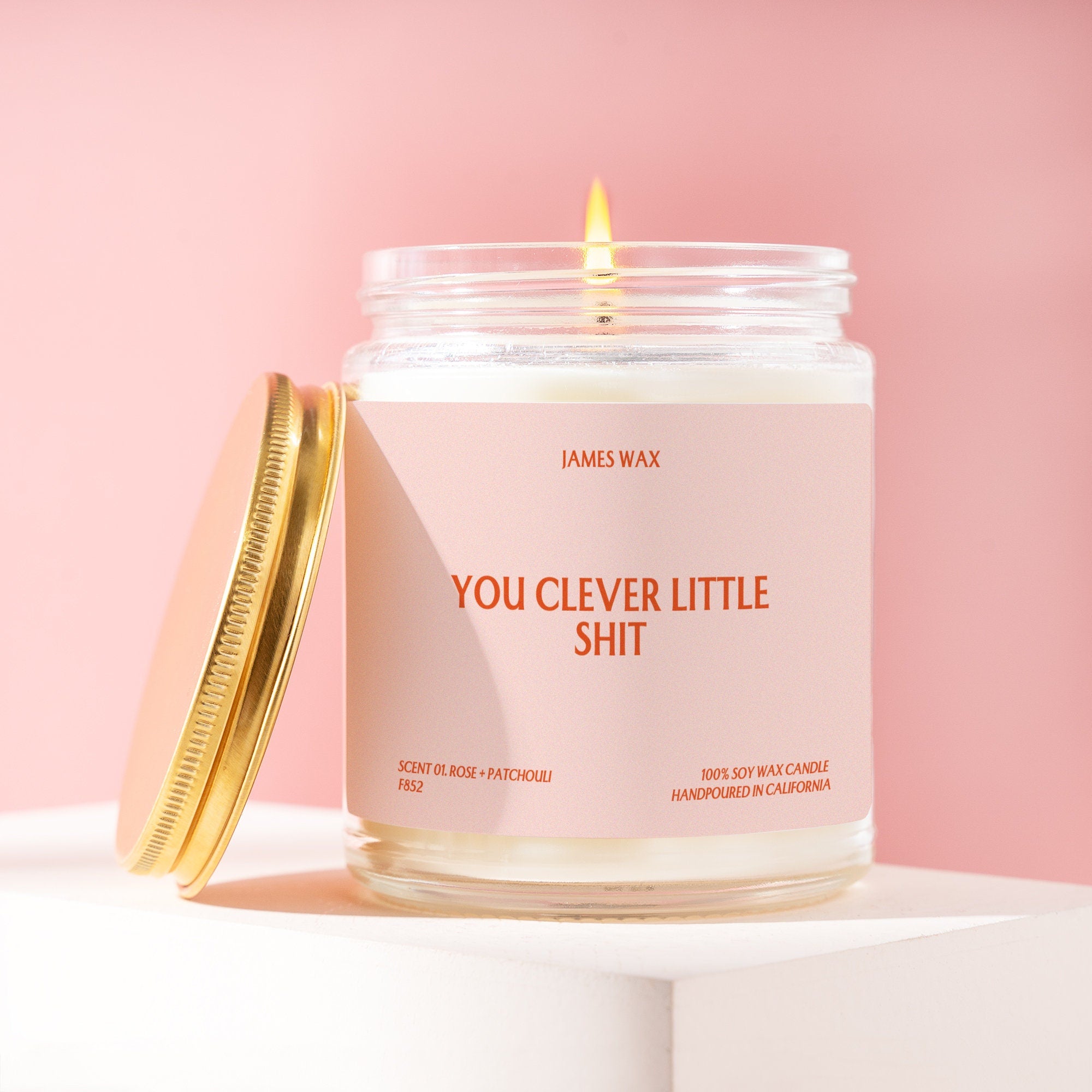 Clever Gift You Clever Little Shit Candle For Clever Friends Encouragement Gift F852