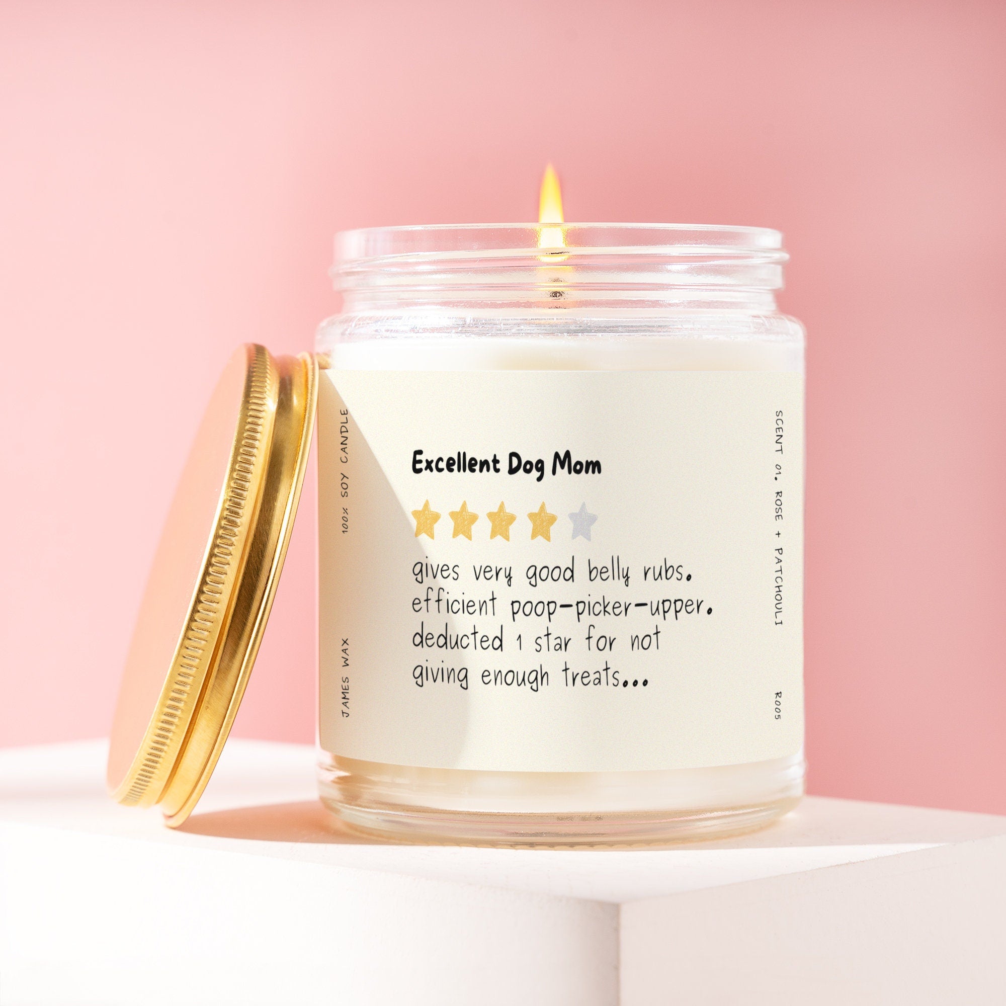 Dog Mom Gift Excellent Dog Mom Candle Belly Rubs PoopPickerUpper Candle For Dog Moms Happy Mothers Day R005